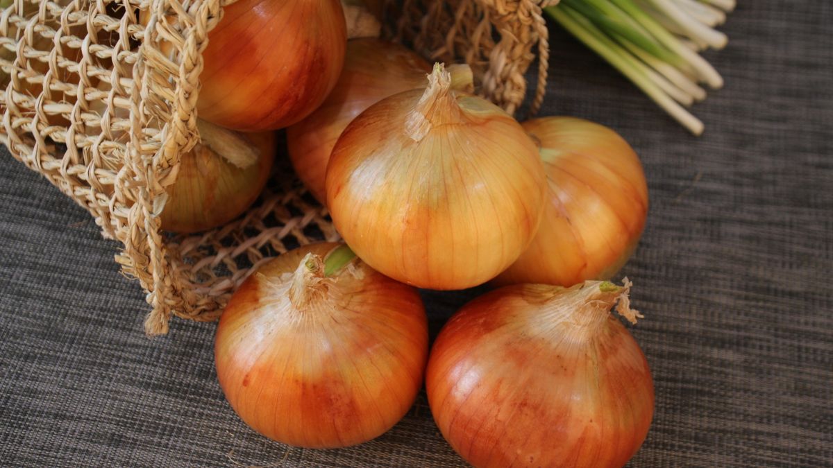Onion for hair: Is it really helpful or just a myth?