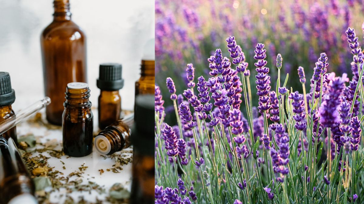 Relax and Revitalize: How to Incorporate Lavender Essential Oils into Your Beauty Routine