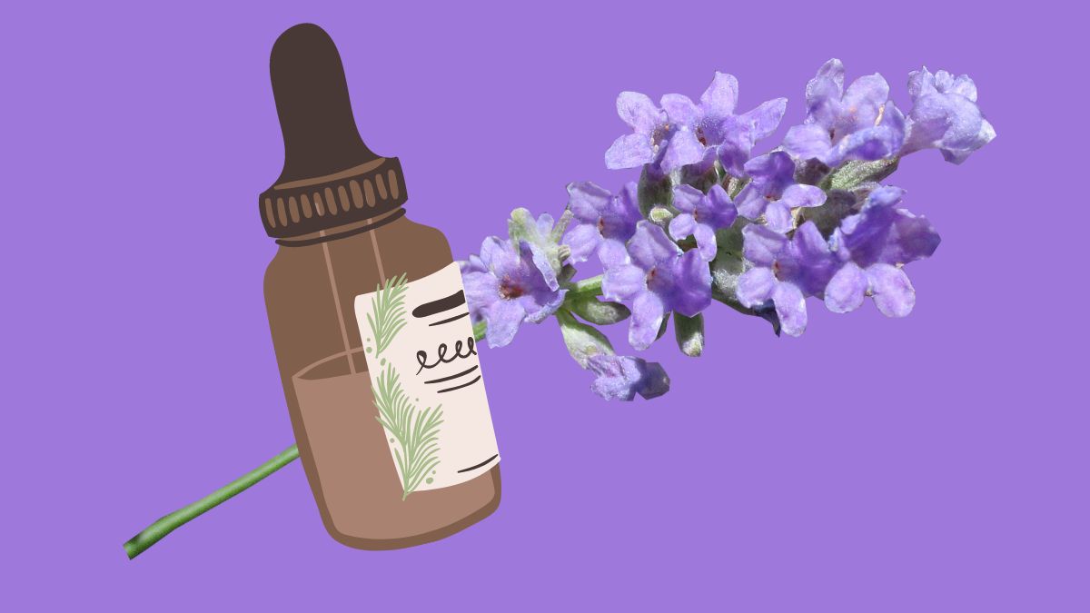 The beauty benefits of using lavender essential oil