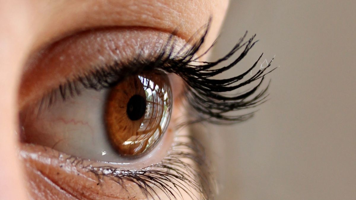 Fact or Fiction: Can You Really Grow Longer Lashes?
